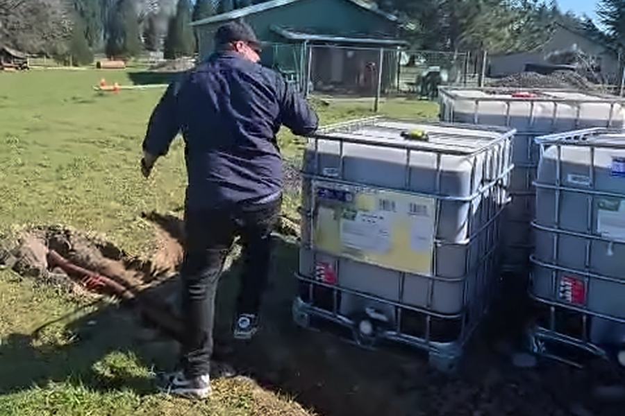 Worker in a cap and navy jacket checking a row of caged plastic totes in a grassy field